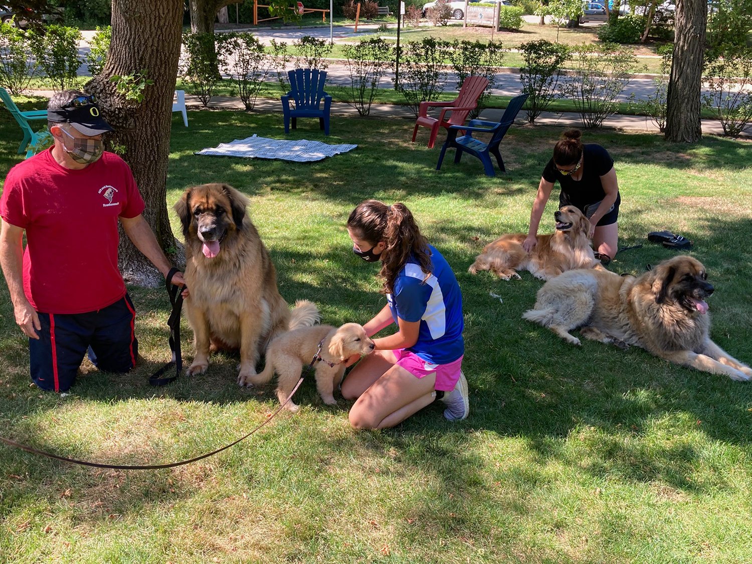 Raising-Our-Puppy-During-the-Pandemic