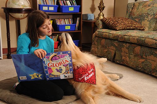 Therapy Dog – Assisted Reading Program