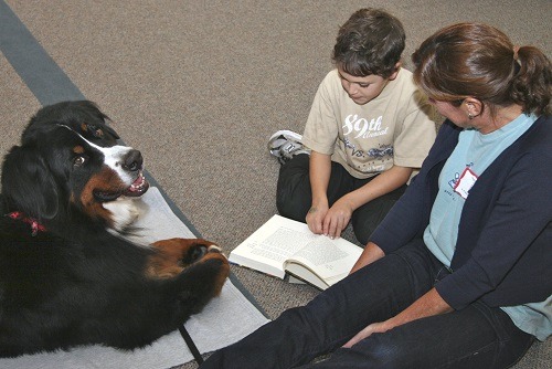 Therapy Dogs Help Children with Disabilities | K-9 Reading Buddies